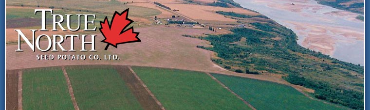 True North Seed Potato Company