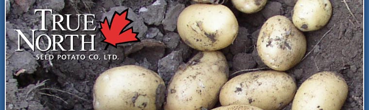True North Seed Potato Company