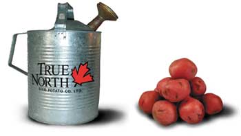 true north